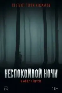 Неспокойной ночи
