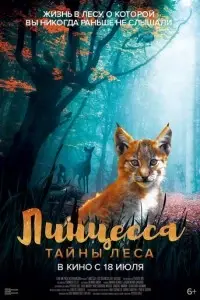 фильм Линцесса. Тайны леса
